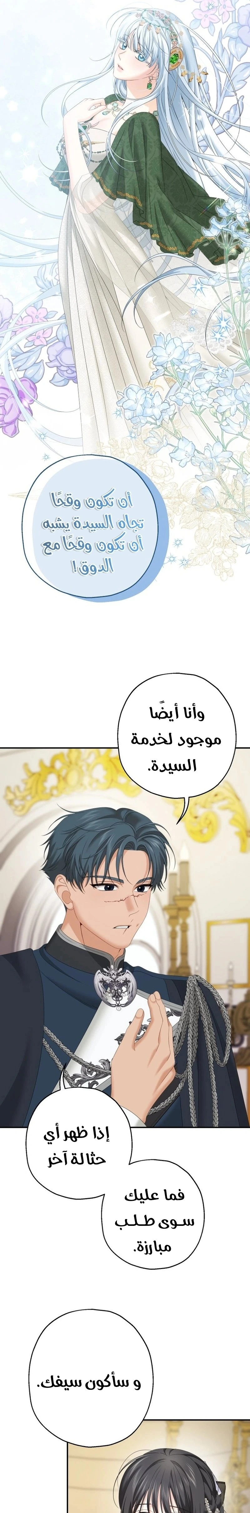 الصفحة 17