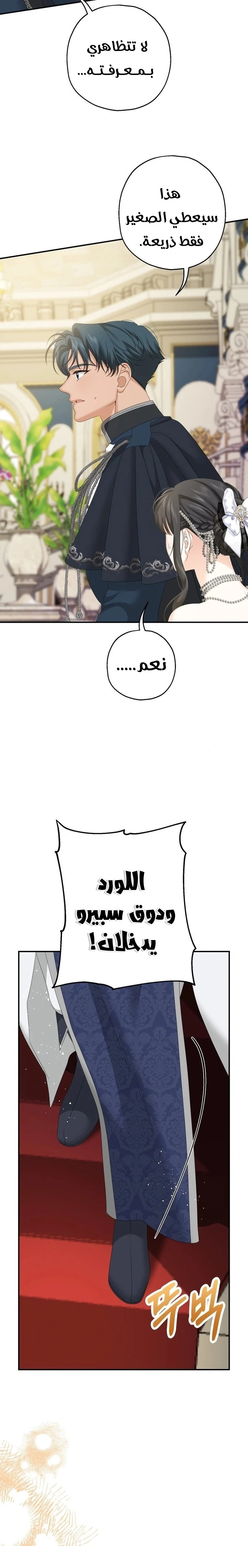 الصفحة 20