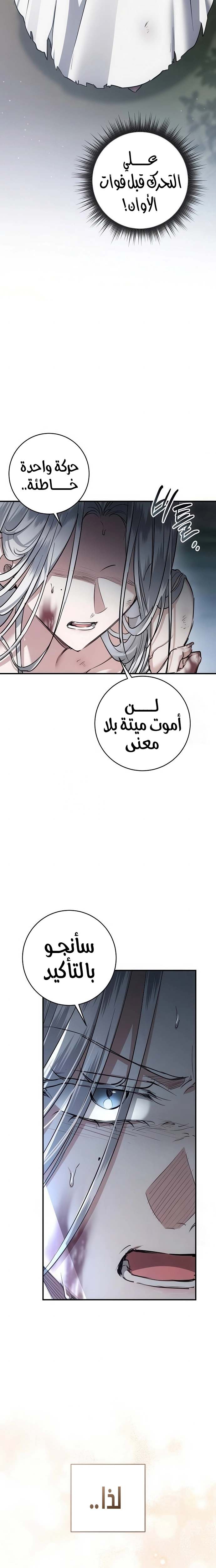 الصفحة 23