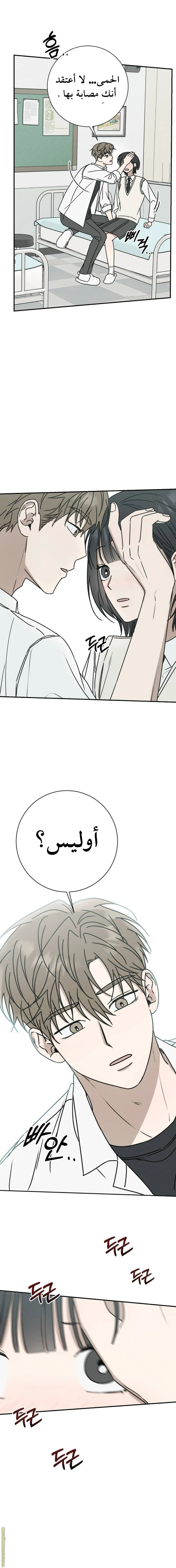 الصفحة 14