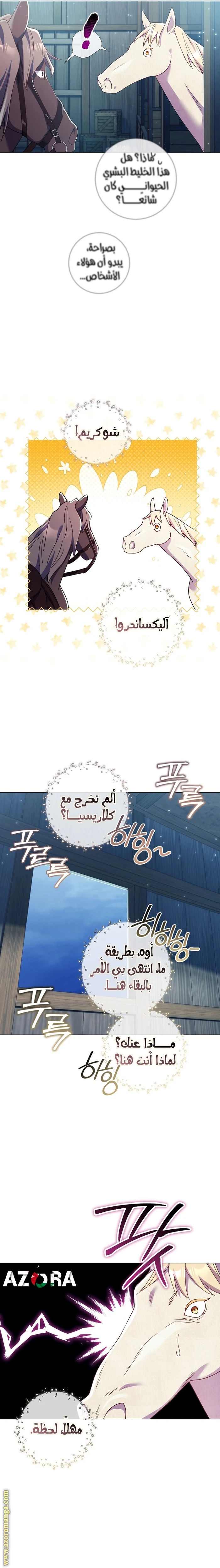 الصفحة 17
