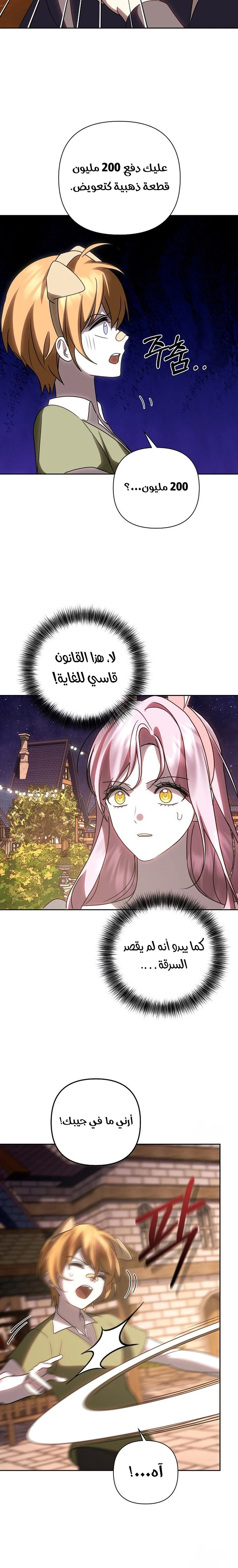 الصفحة 20