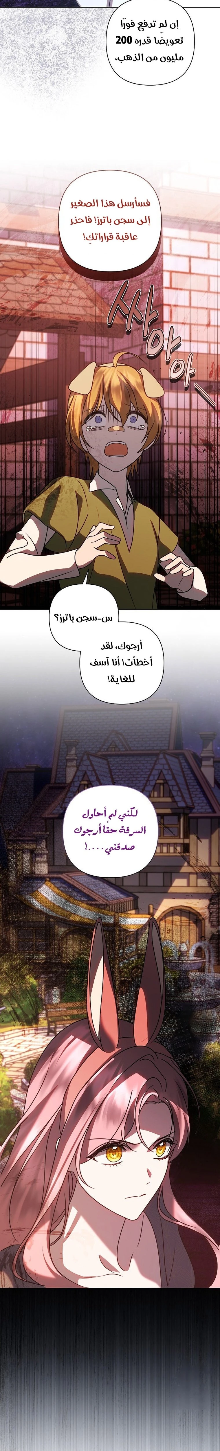 الصفحة 24
