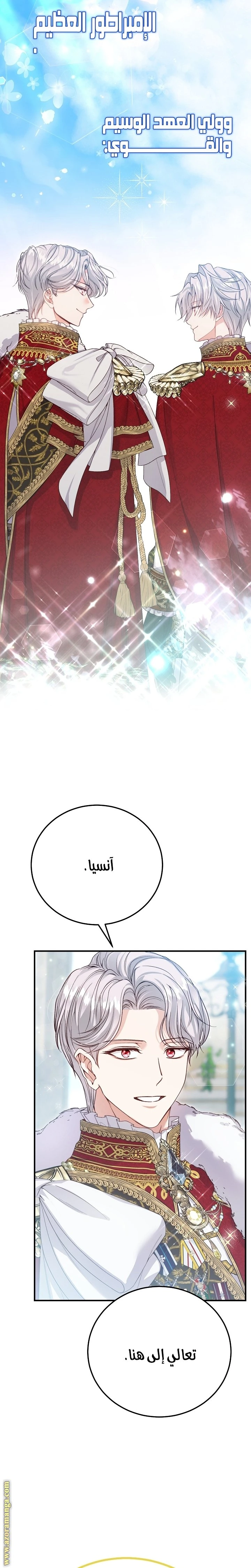 الصفحة 26