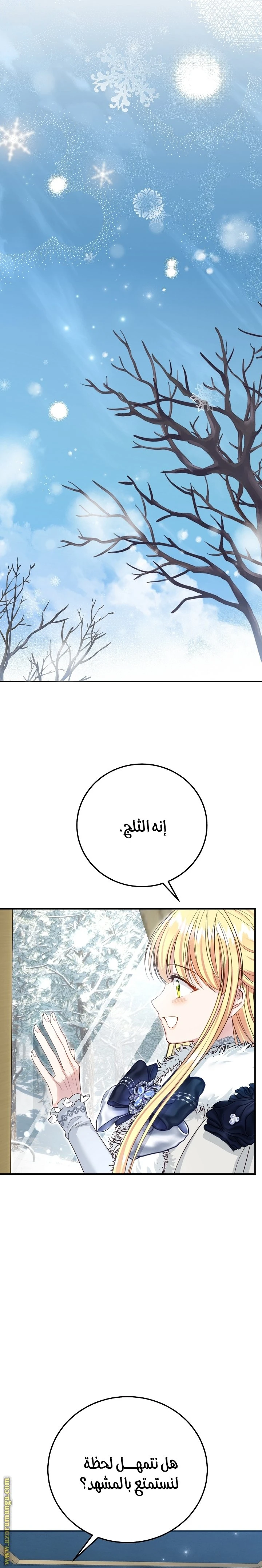 الصفحة 31
