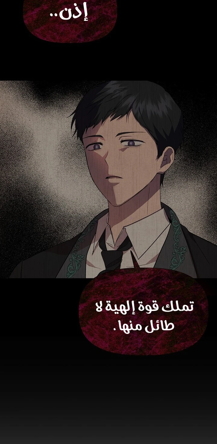 الصفحة 19