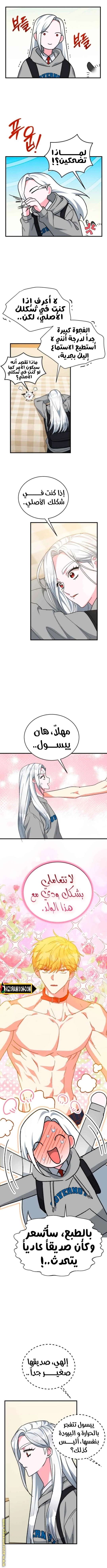 الصفحة 4
