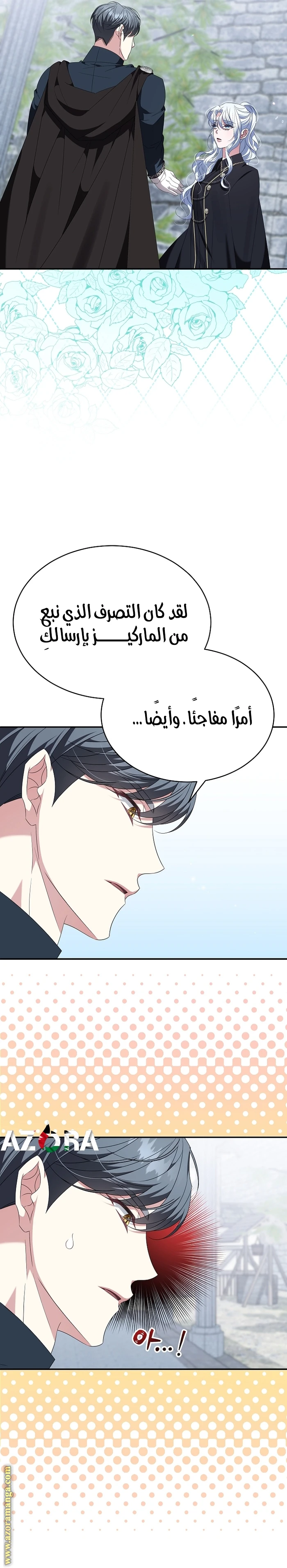 الصفحة 25