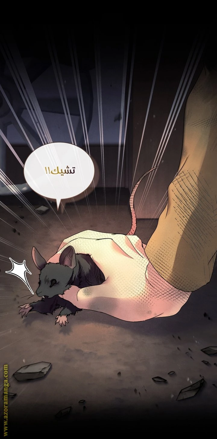 الصفحة 16