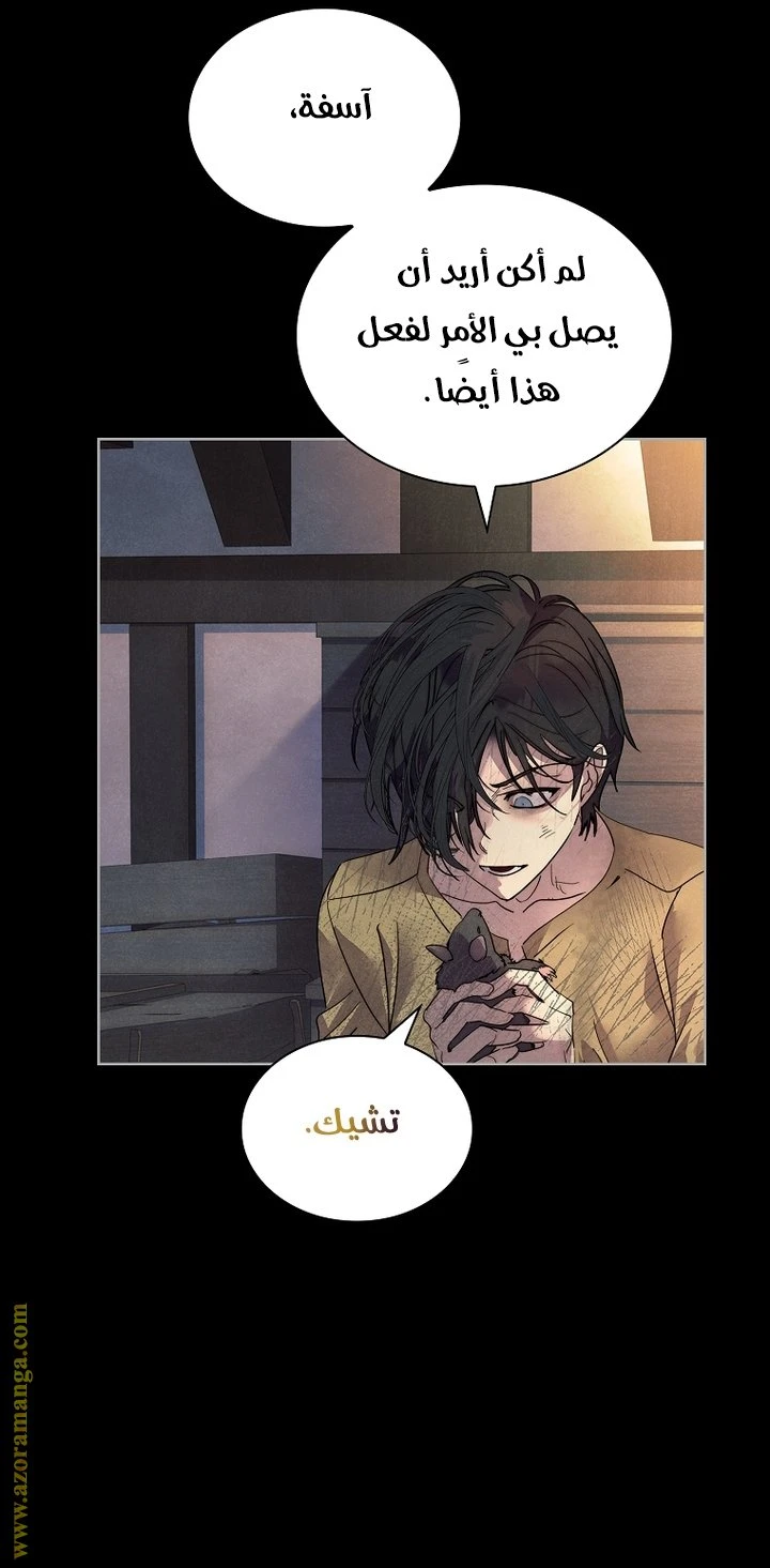الصفحة 17