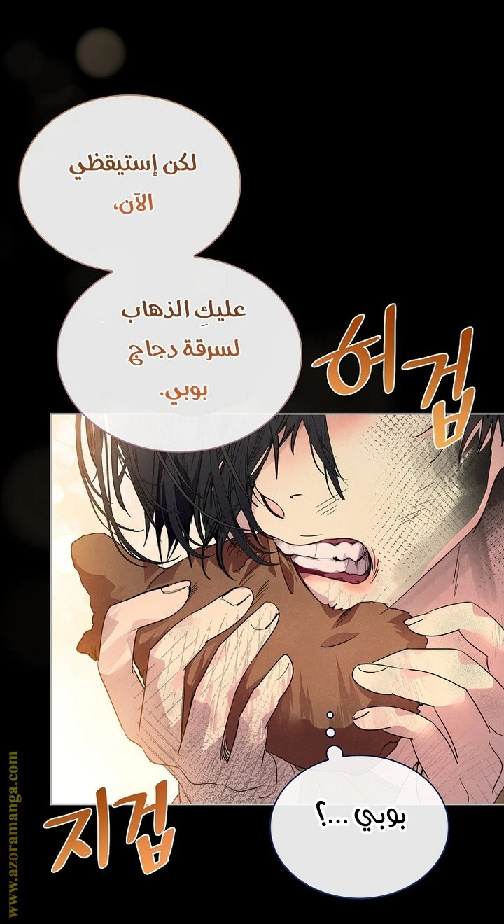 الصفحة 23