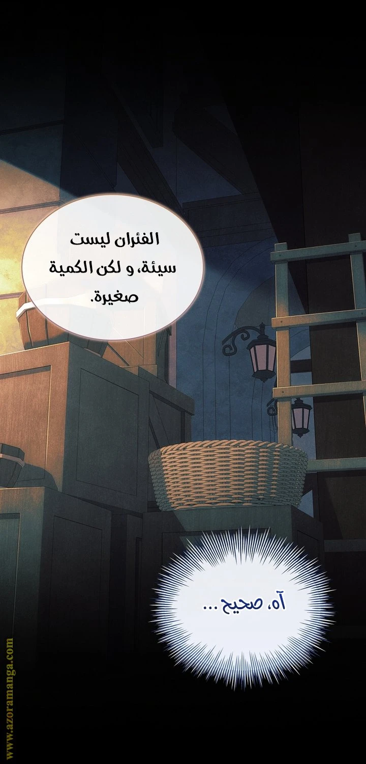 الصفحة 24