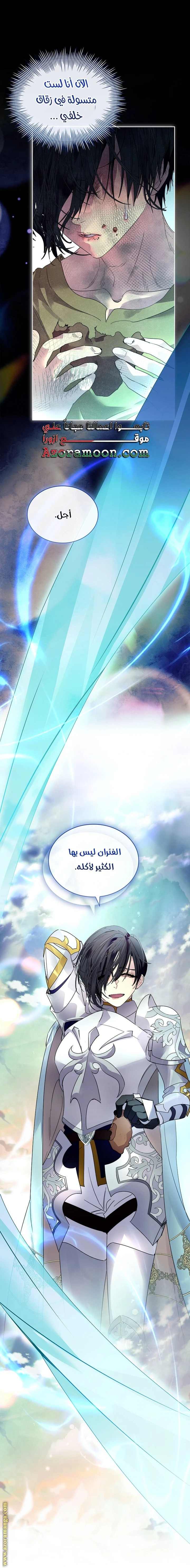 الصفحة 25