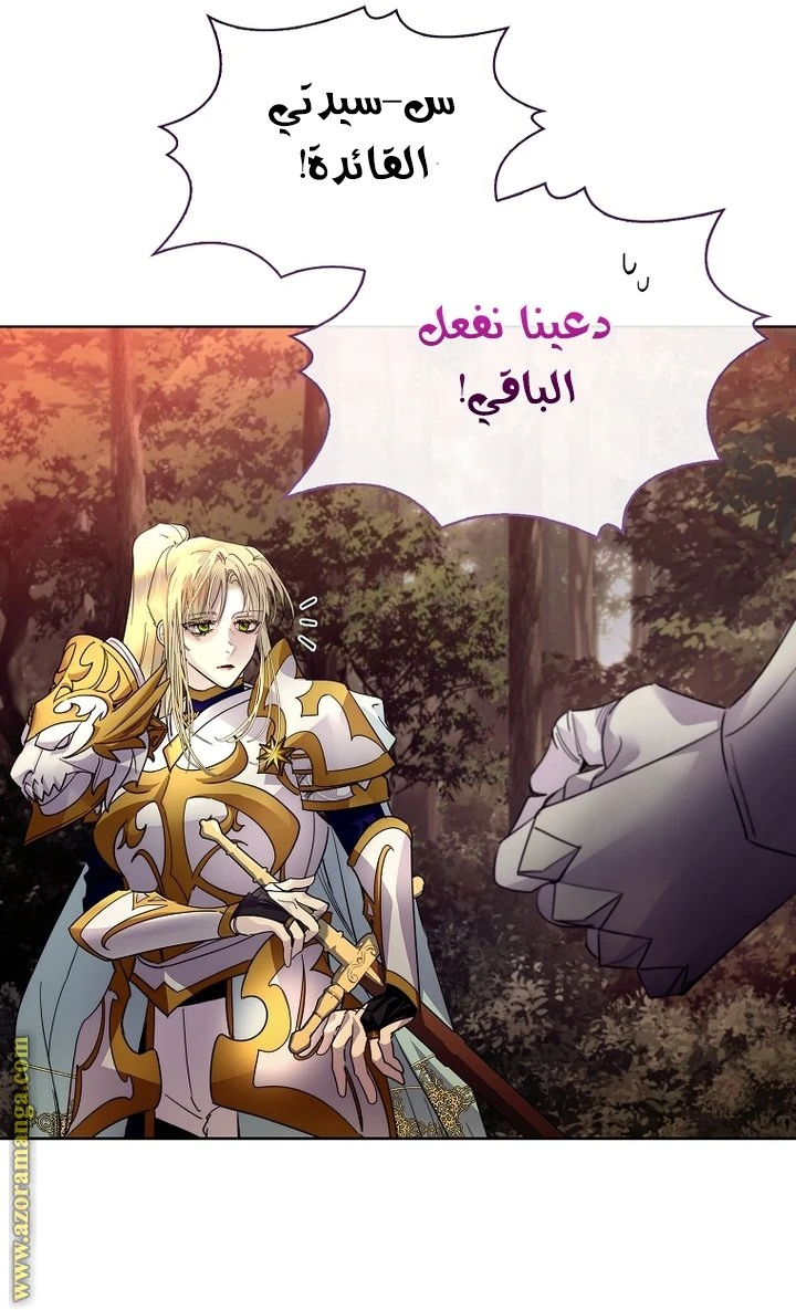 الصفحة 29