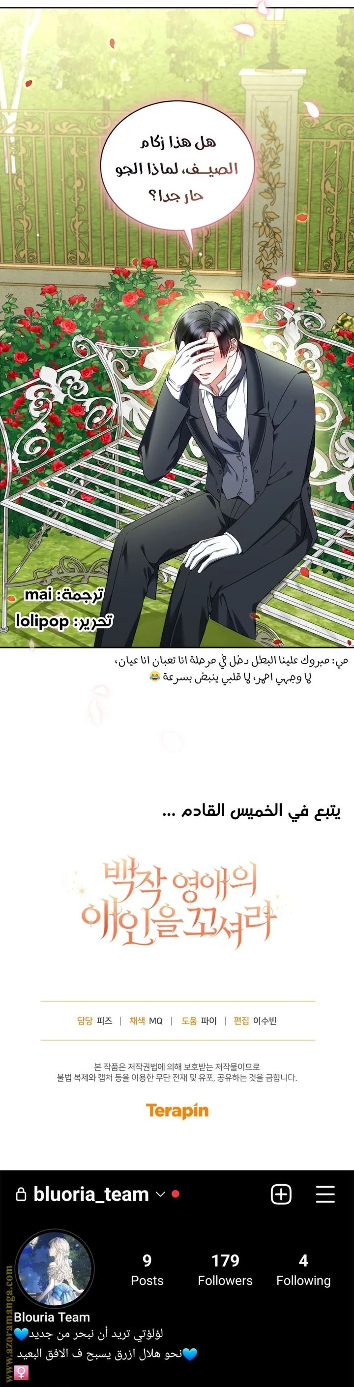 الصفحة 17