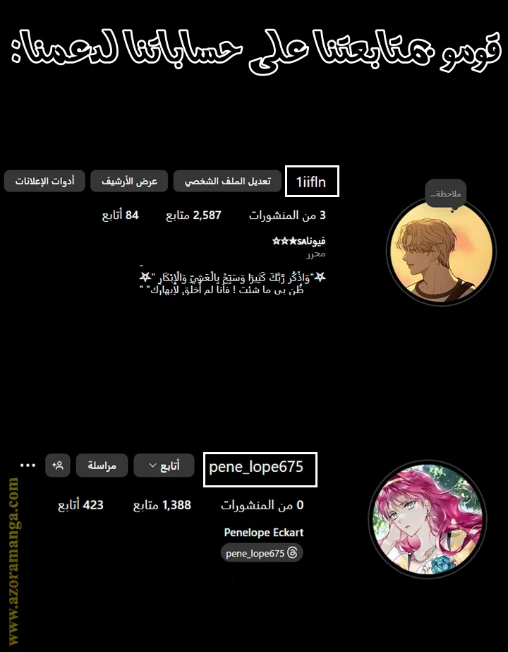 الصفحة 13
