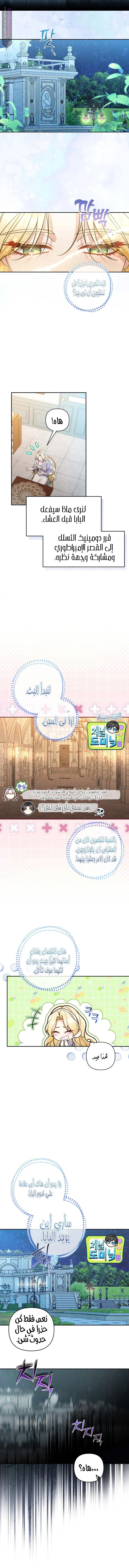 الصفحة 7