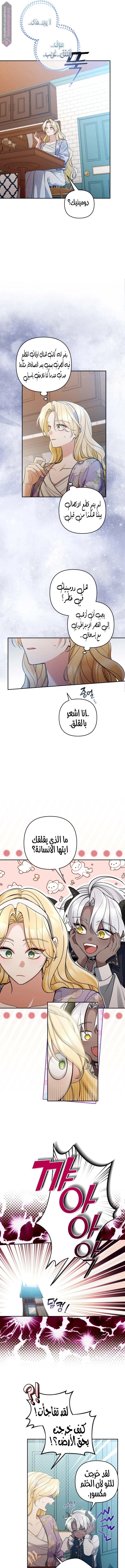 الصفحة 8