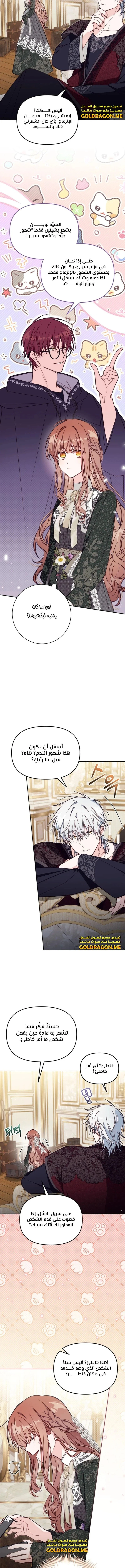 الصفحة 8