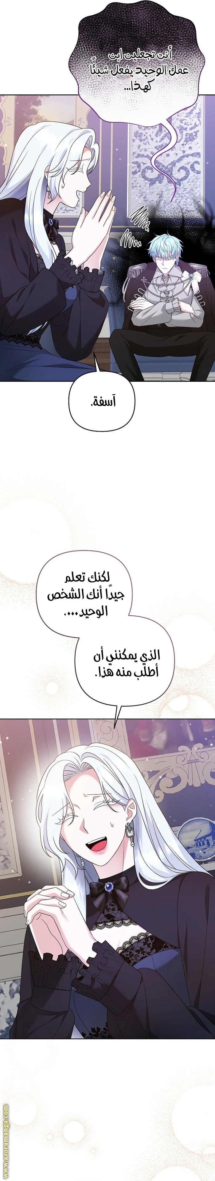 الصفحة 17