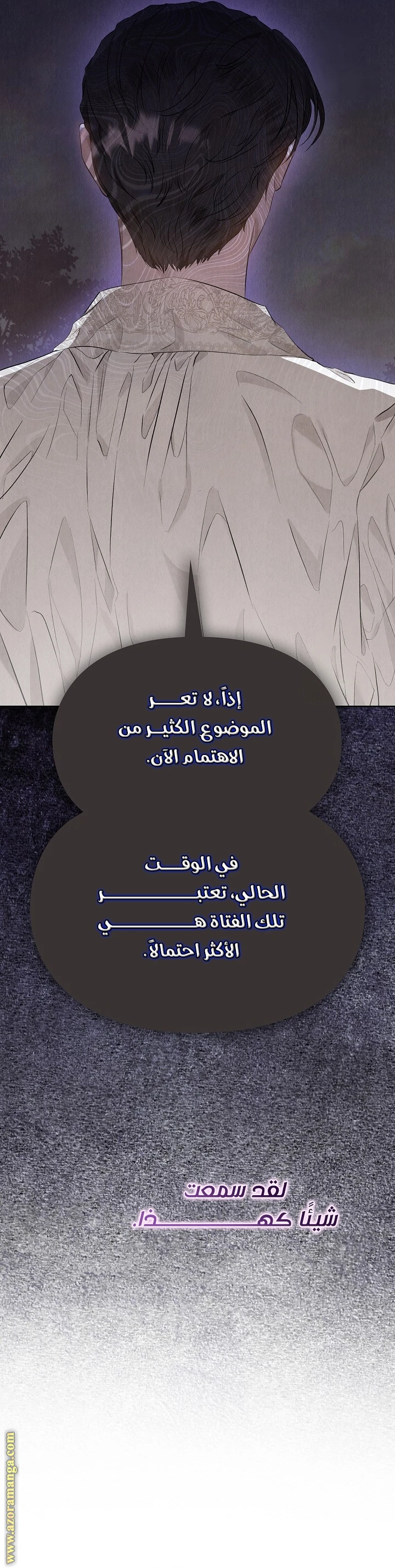 الصفحة 41