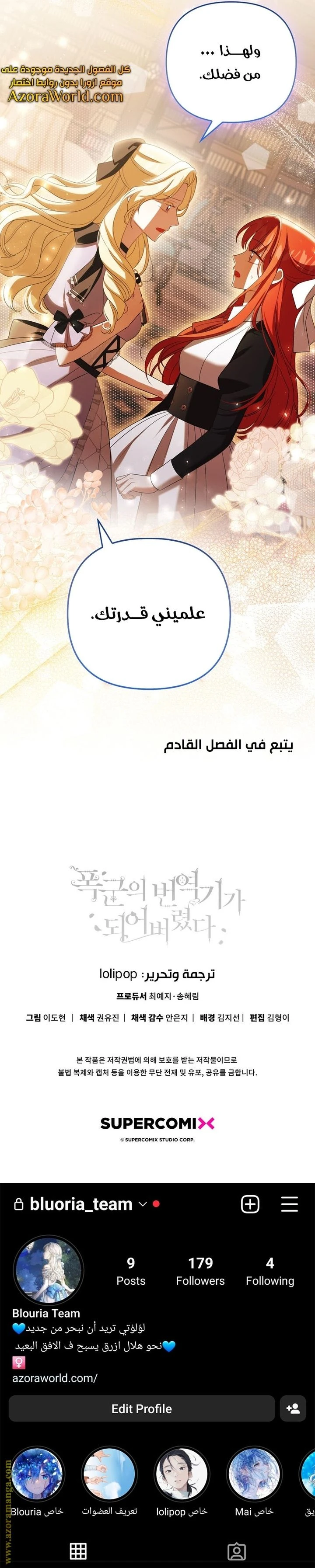 الصفحة 17