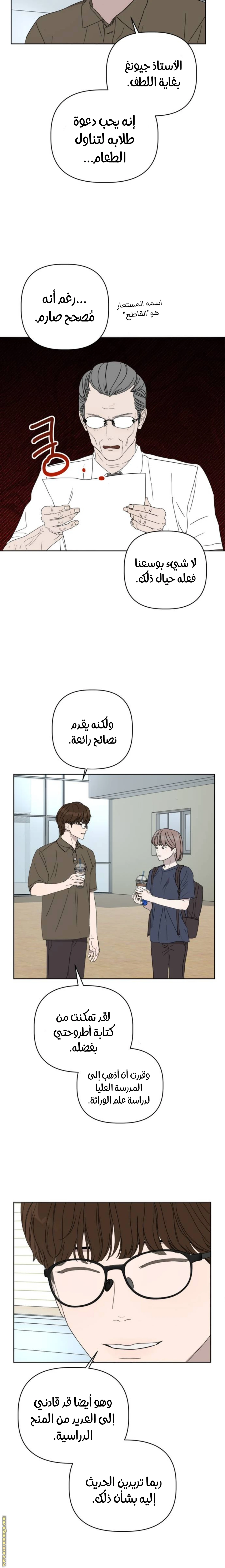 الصفحة 14