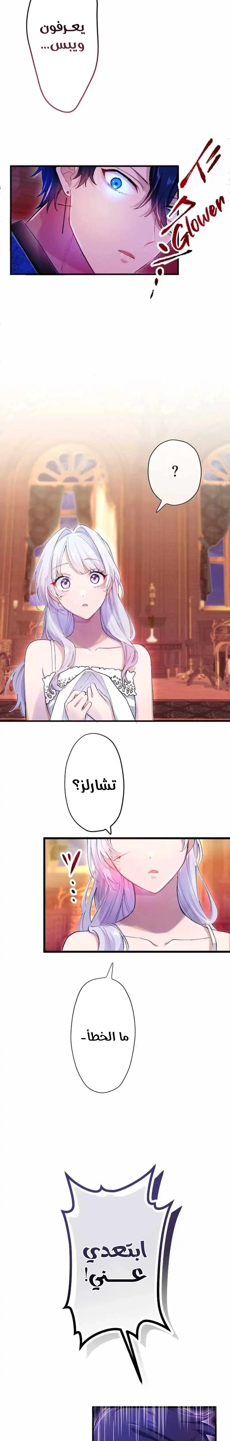 الصفحة 19