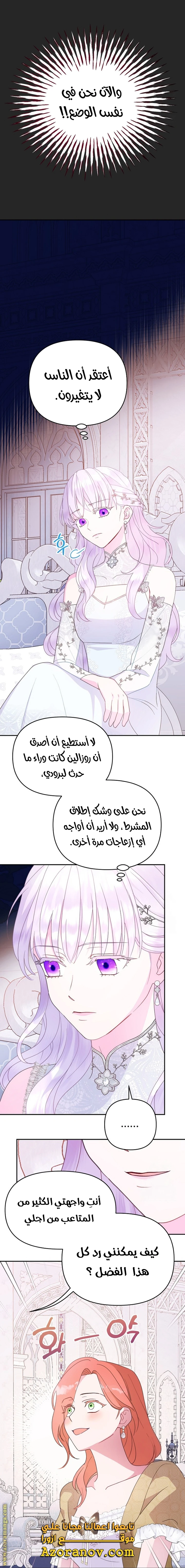 الصفحة 25