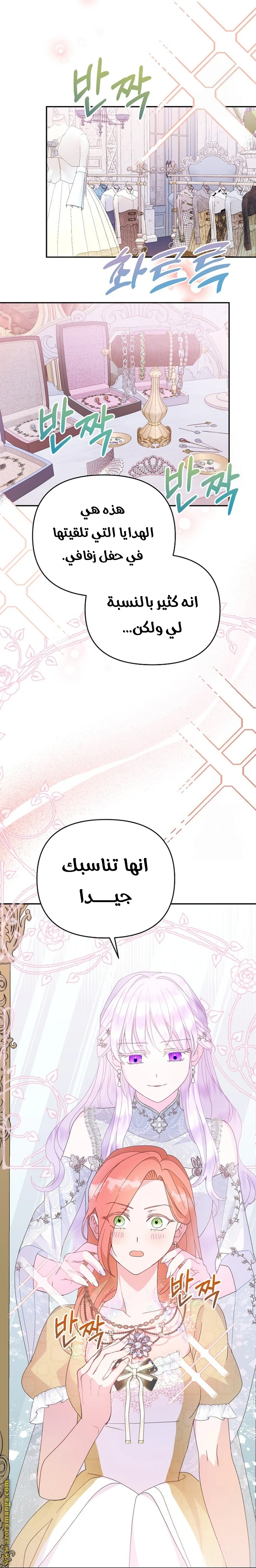 الصفحة 27
