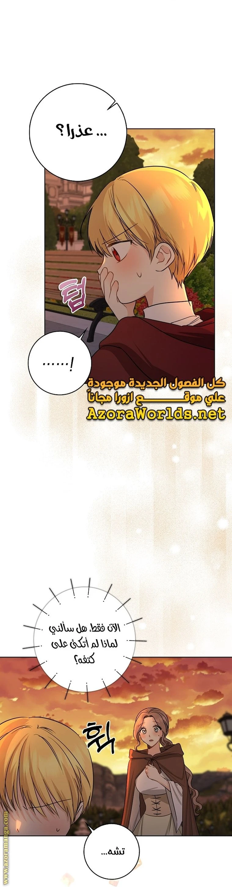 الصفحة 12