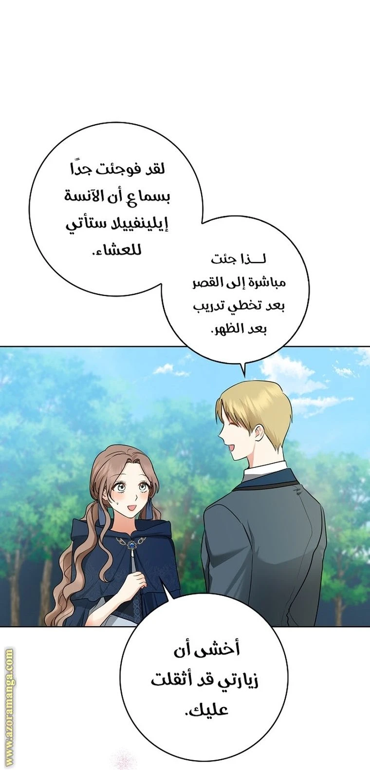 الصفحة 29