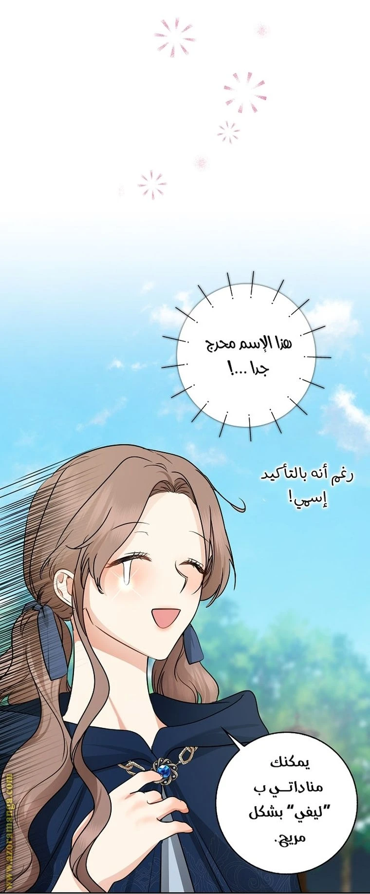 الصفحة 31