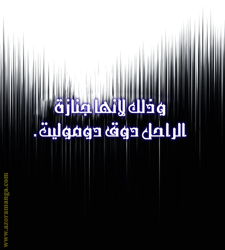 الصفحة 27