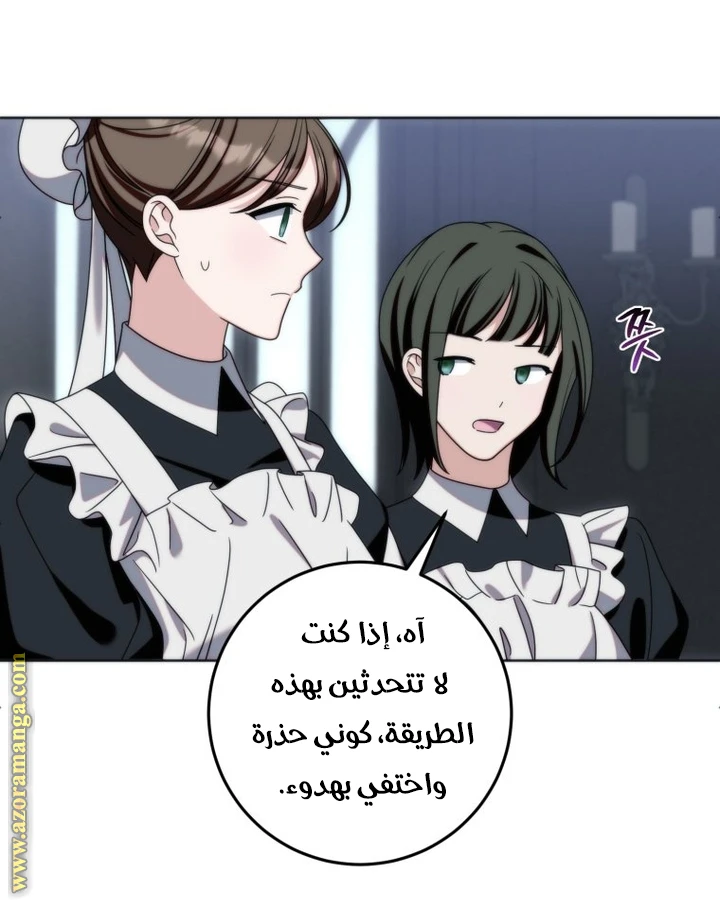الصفحة 29
