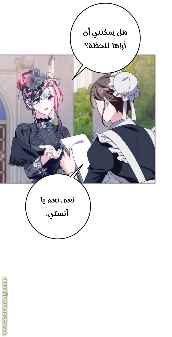 الصفحة 39