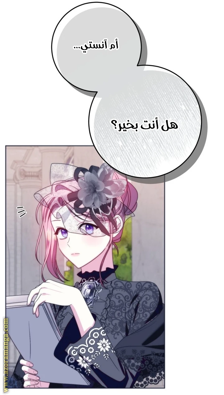 الصفحة 41