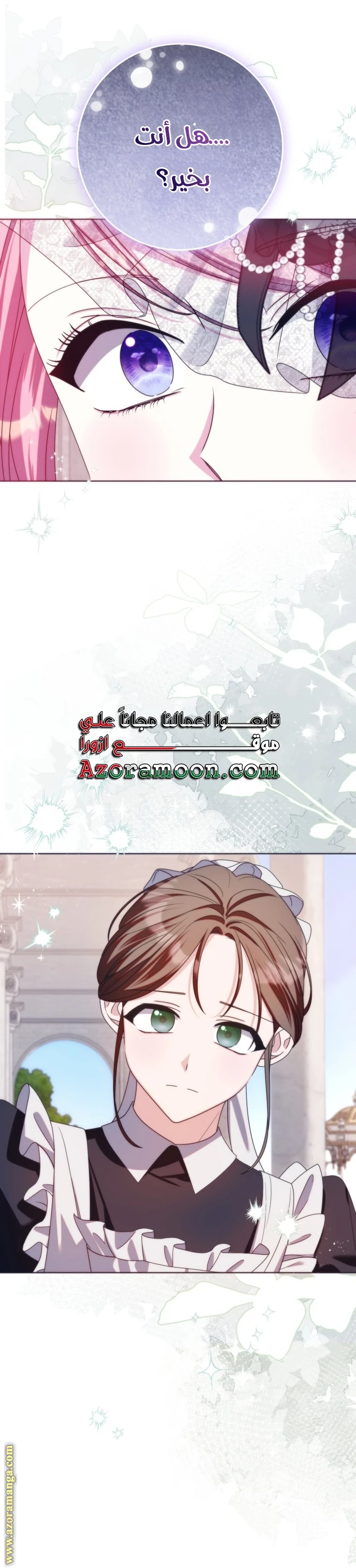 الصفحة 43