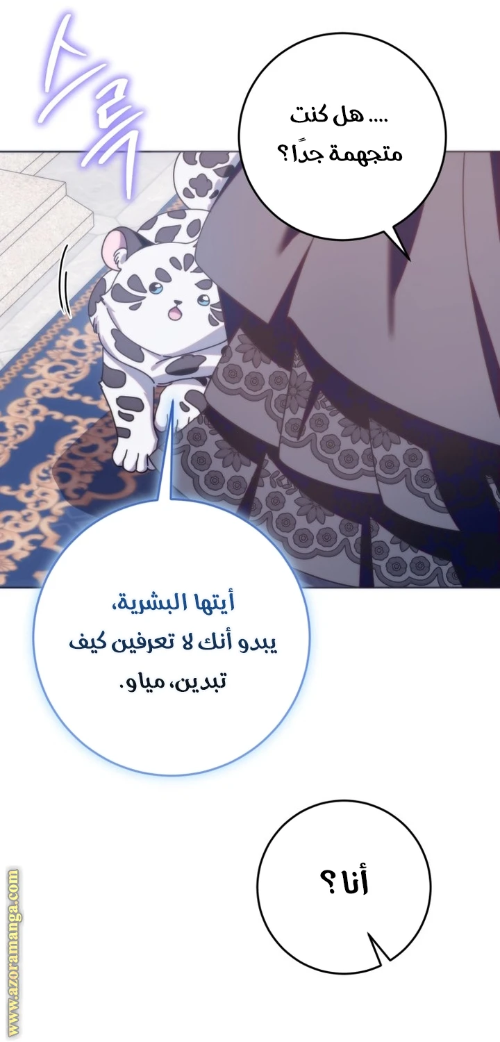 الصفحة 46