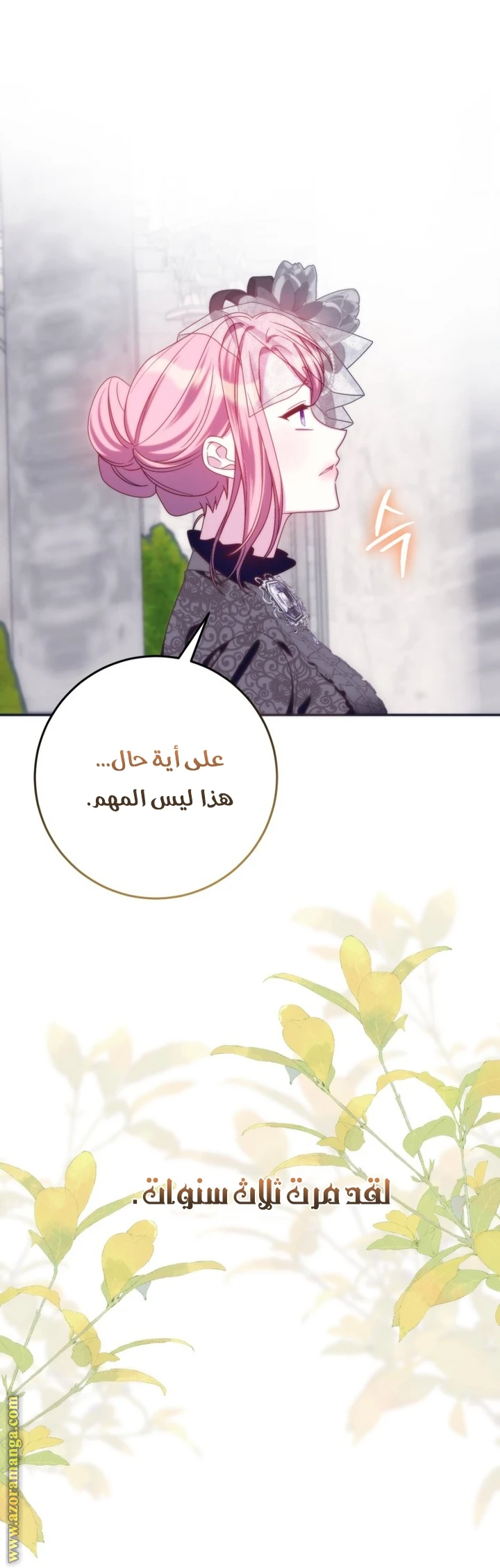 الصفحة 47