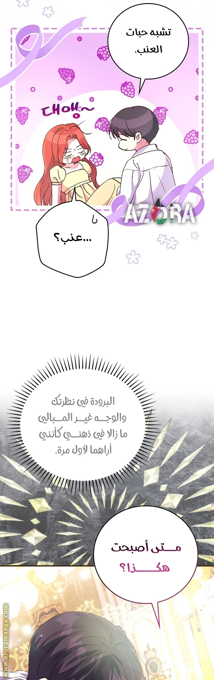 الصفحة 16