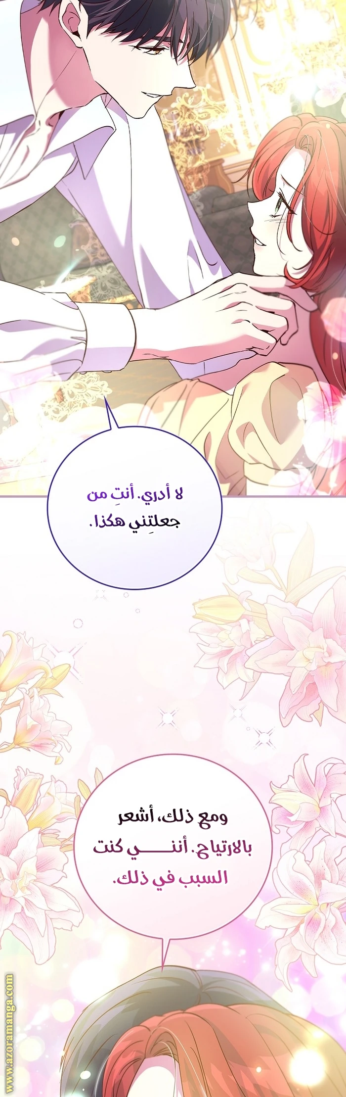 الصفحة 17