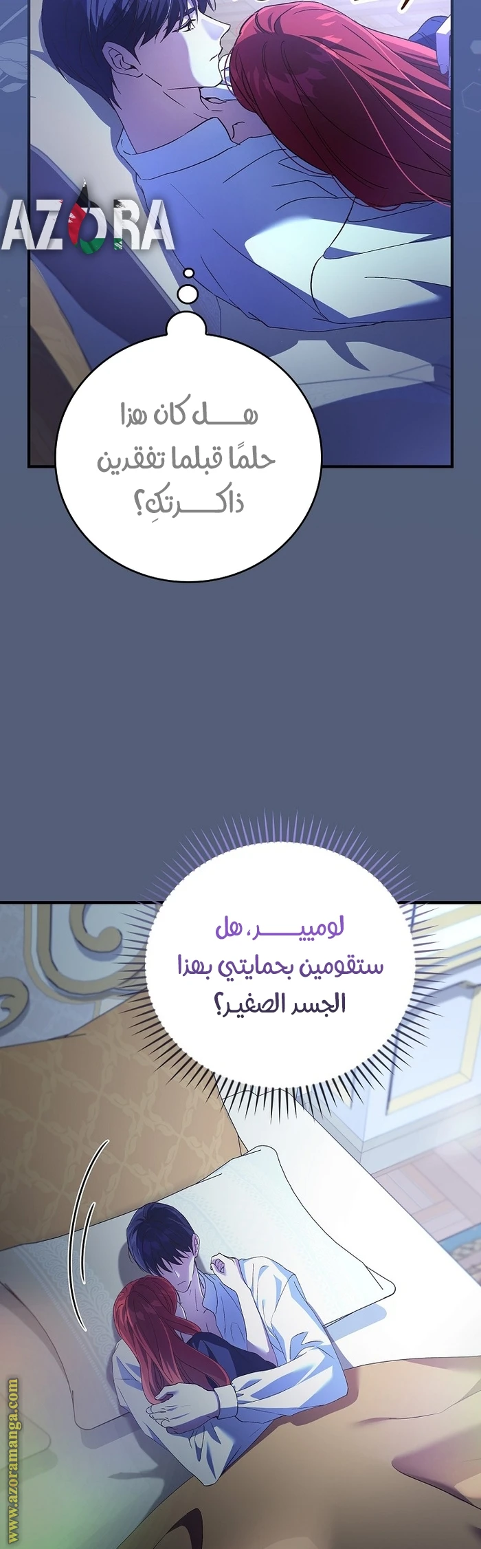 الصفحة 26