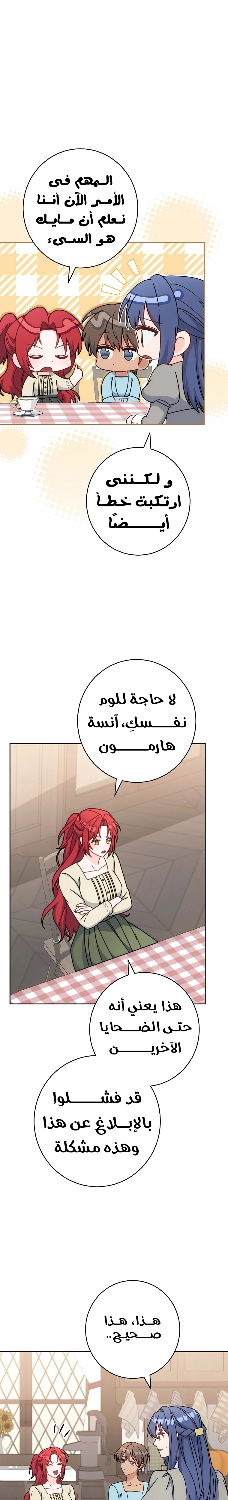 الصفحة 17
