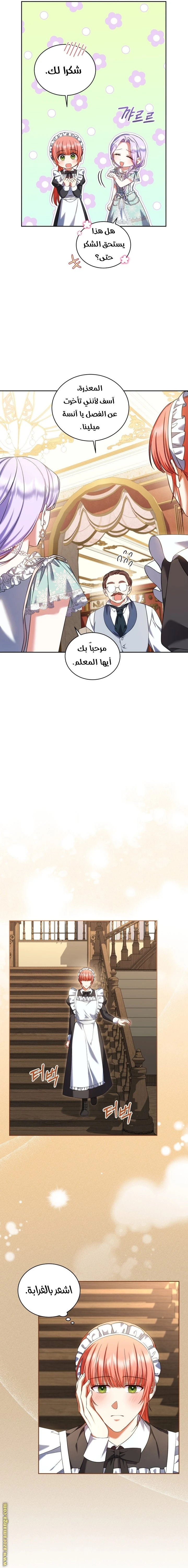 الصفحة 17