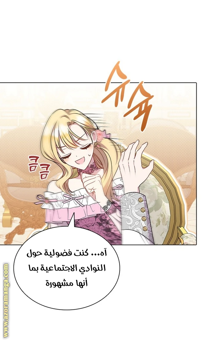 الصفحة 29