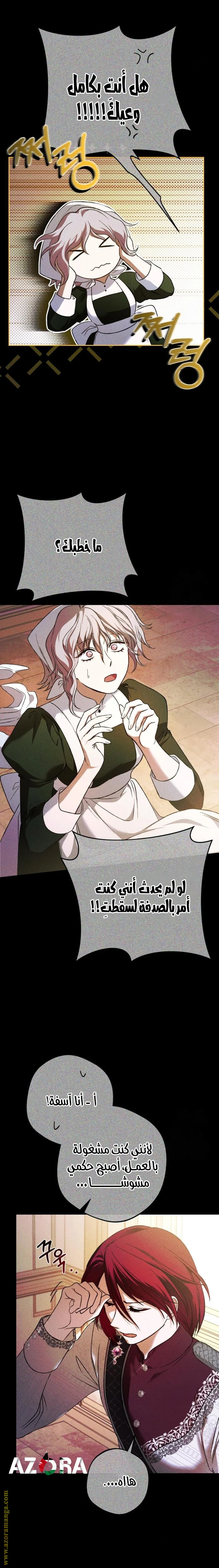 الصفحة 19