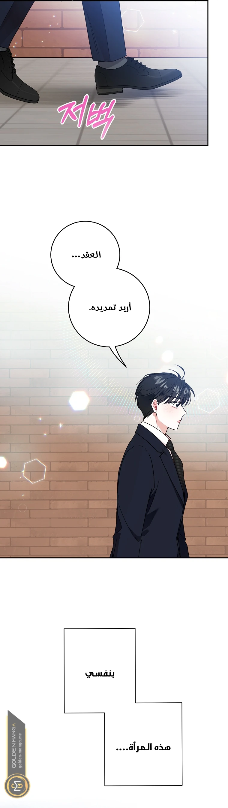 الصفحة 13