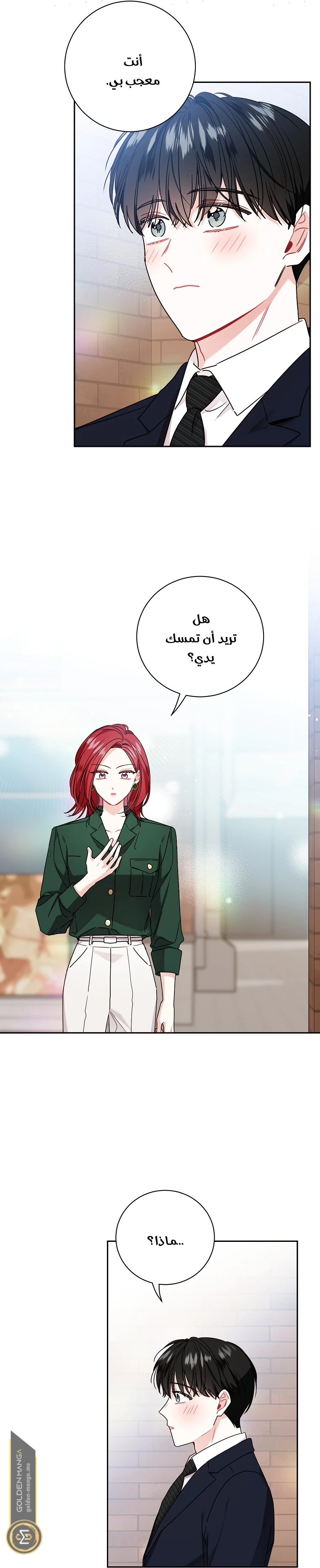الصفحة 17