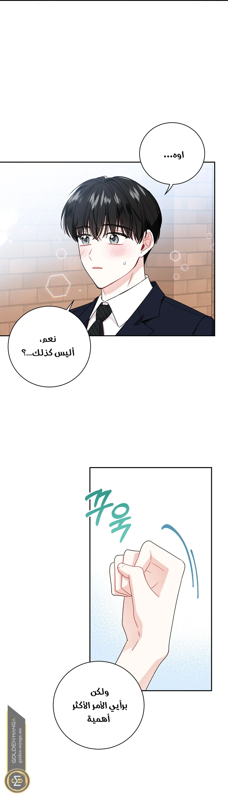 الصفحة 20